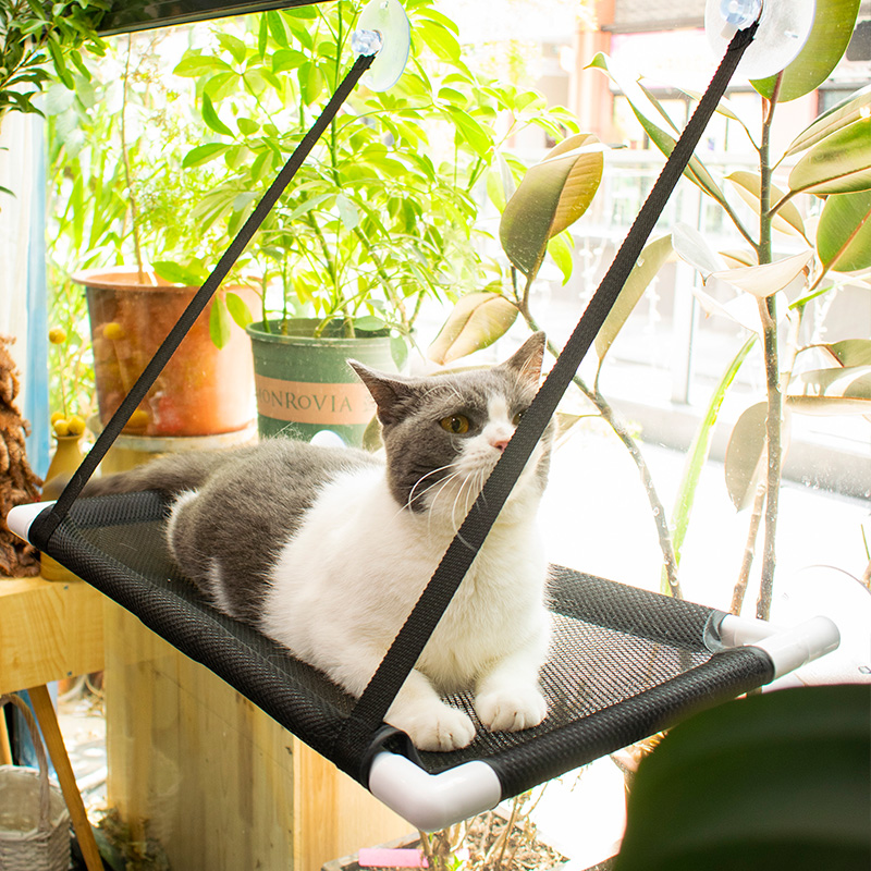 Cat hammock